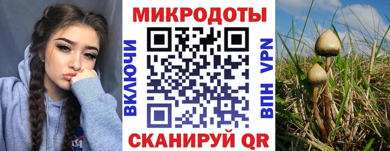 Псилоцибиновые грибы Cubensis  продажа наркотиков  Барыш 